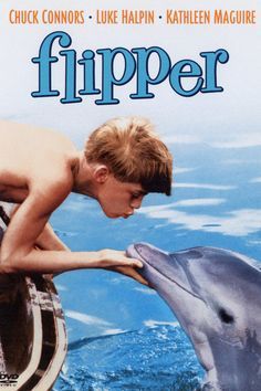 there is a young boy playing with a dolphin