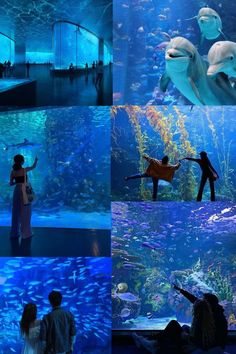 two people standing in front of a large aquarium