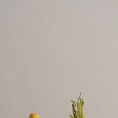 two pieces of fruit sitting on top of each other in front of a white wall