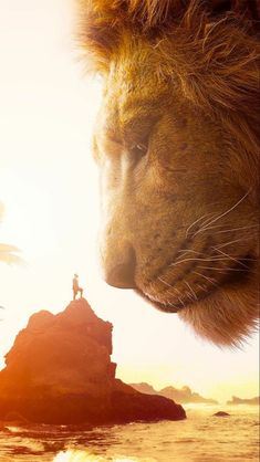 the lion and the person stand on top of a rock in front of an ocean