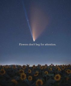 the sky is filled with sunflowers and there is a message above it that reads, flowers don't beg for attention