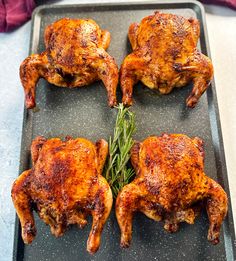 four whole chickens on a baking sheet with herbs