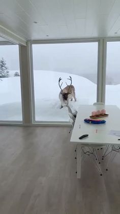 a person jumping up in the air on a snowboard near a table and windows