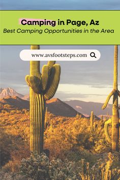 a book cover with the title camping in page, az best camping activities in the area