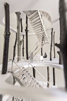 an artistic view of a spiral staircase in the woods