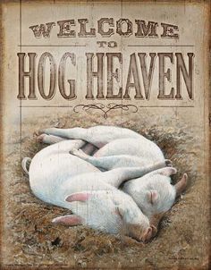 two white pigs laying on top of each other in front of a sign that says welcome to hog heaven