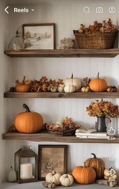 the shelves are filled with pumpkins and gourds