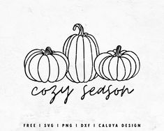 three pumpkins sitting next to each other with the words cozy season