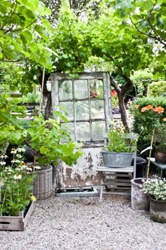 an old window is surrounded by potted plants and other flowers in the garden area