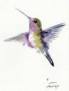 a watercolor painting of a hummingbird in flight