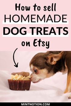 a dog sniffing a cupcake with the words how to sell homemade dog treats on etsy