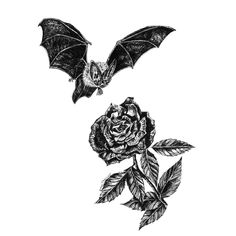 a bat flying over a rose with leaves