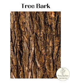 the tree bark is shown in this image