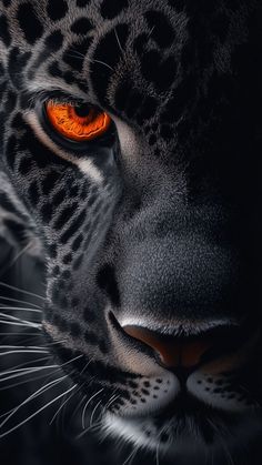 a close up of a leopard's face with bright orange eyes and black background