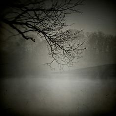 a black and white photo of a foggy lake with trees in the foreground