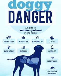 the doggy danger guide is shown in this graphic style, with instructions on how to use