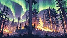 the aurora bore is lit up in the night sky above trees and fireflies, as well as bright lights