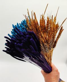 a hand holding some dried plants with purple and blue stems in it's center