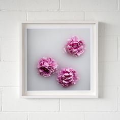 three pink peonies in a white frame on a brick wall, mounted to the wall