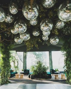 a room filled with lots of plants and disco ball lights hanging from the ceiling above