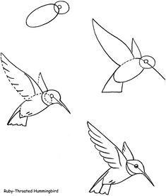 four birds flying in the sky with different shapes