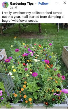 a garden filled with lots of colorful flowers