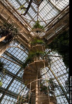 the inside of a building with many plants growing on it