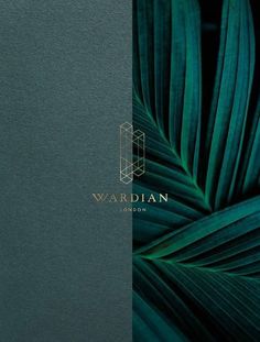 the cover of wardn london's new book, with green leaves on it