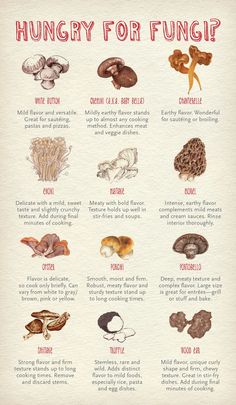 a poster with different types of mushrooms on it