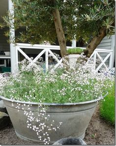 a planter filled with lots of white flowers