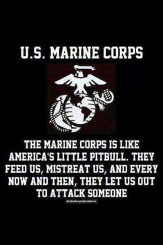 the marine corp is like america's little pitbull