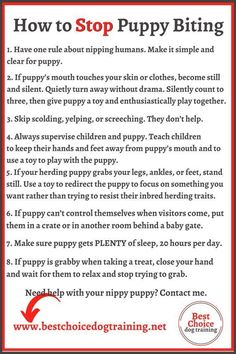 the instructions for how to stop puppy biting