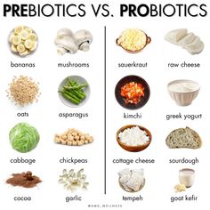 Prebiotics vs probiotics by @ amd_wellness on instagram #prebiotics #probiotic #guthealing #guthealth #healthygut #health #healthtipsforhealthylife Pre Biotics, Pro Biotics, Gut Bacteria, Healthy Lifestyle Food, Inflammatory Foods, Wild Free, Holistic Nutrition