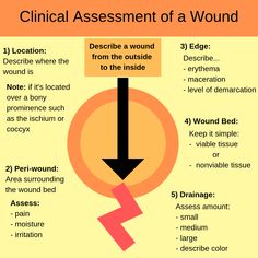 an info sheet describing the different types of wounds and how they are used to treat