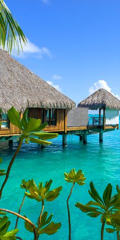 the water is crystal blue and there are two huts on stilts