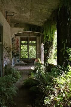 an abandoned building with graffiti on the walls and plants growing in the doorways,