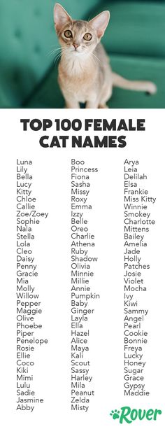 a cat sitting on top of a green couch with the words top 100 female cats names