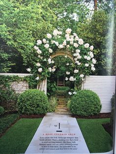 a garden with white flowers on the arch and green grass in the front yard area