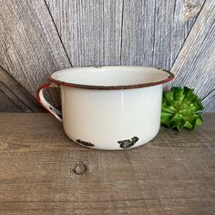 a white and red bowl sitting on top of a wooden table next to a green plant