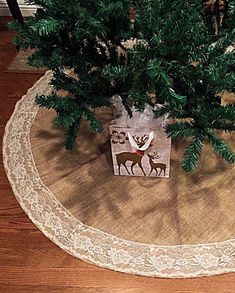 a small christmas tree in a gift bag on a doily under a pine tree