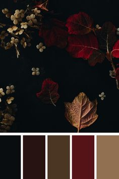 A rich palette of autumn colors, including deep reds, browns, and hints of gold. The contrast of the dark background with the vibrant leaves and delicate flowers creates a sophisticated and elegant aesthetic, ideal for seasonal and nature-inspired designs. Dark Autumn Wedding Colors, Red Color Palette Living Room, Dark And Moody Color Scheme, Dark And Colorful Aesthetic, Burgundy Gold Black Color Palette, Autumn Color Bedroom Ideas, Dark Gothic Color Palette, Red Brown Gold Color Palette, Dark Fall Palette