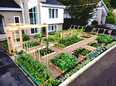 an outdoor vegetable garden in front of a house