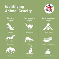 the four types of animal signs are shown in this graphic above it's description