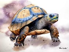 a watercolor painting of a tortoise on a white background with purple clouds