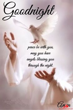 an image of a person holding a dove with the words, goodnight peace be with you may you have angels blessing you through the night