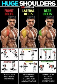 a poster showing how to use the dumbbells for chest and upper body muscles