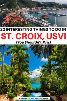 an outdoor swimming pool surrounded by palm trees and boats with text overlay reading 22 interesting things to do in st croix, usvi you shouldn't miss