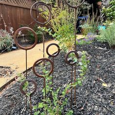 three metal circles are in the middle of a garden with plants growing out of them