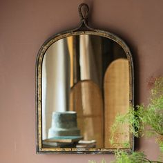 a mirror hanging on the side of a wall next to a potted plant