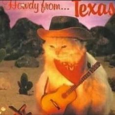 a cat wearing a hat and holding a guitar in its paws with the caption hey from texas